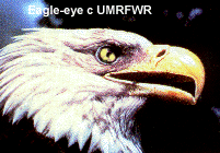 American Bald Eagles are celebrated with Community watches along the upper Mississippi River.